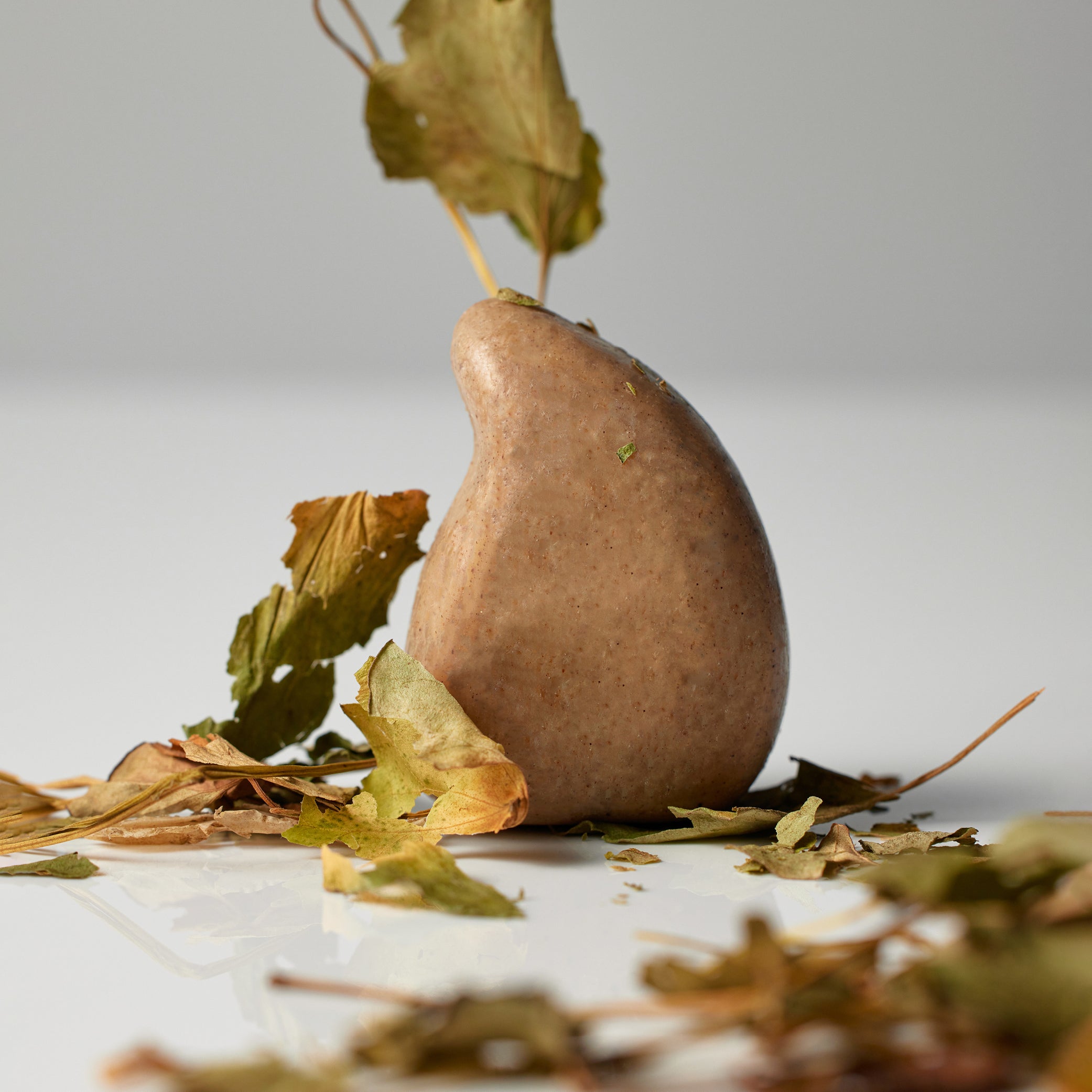 ReSaltZ Salt Massage Cleansing Body Scrub Bar Cica in Brown. Dried cica leaves are scattered across the floor.