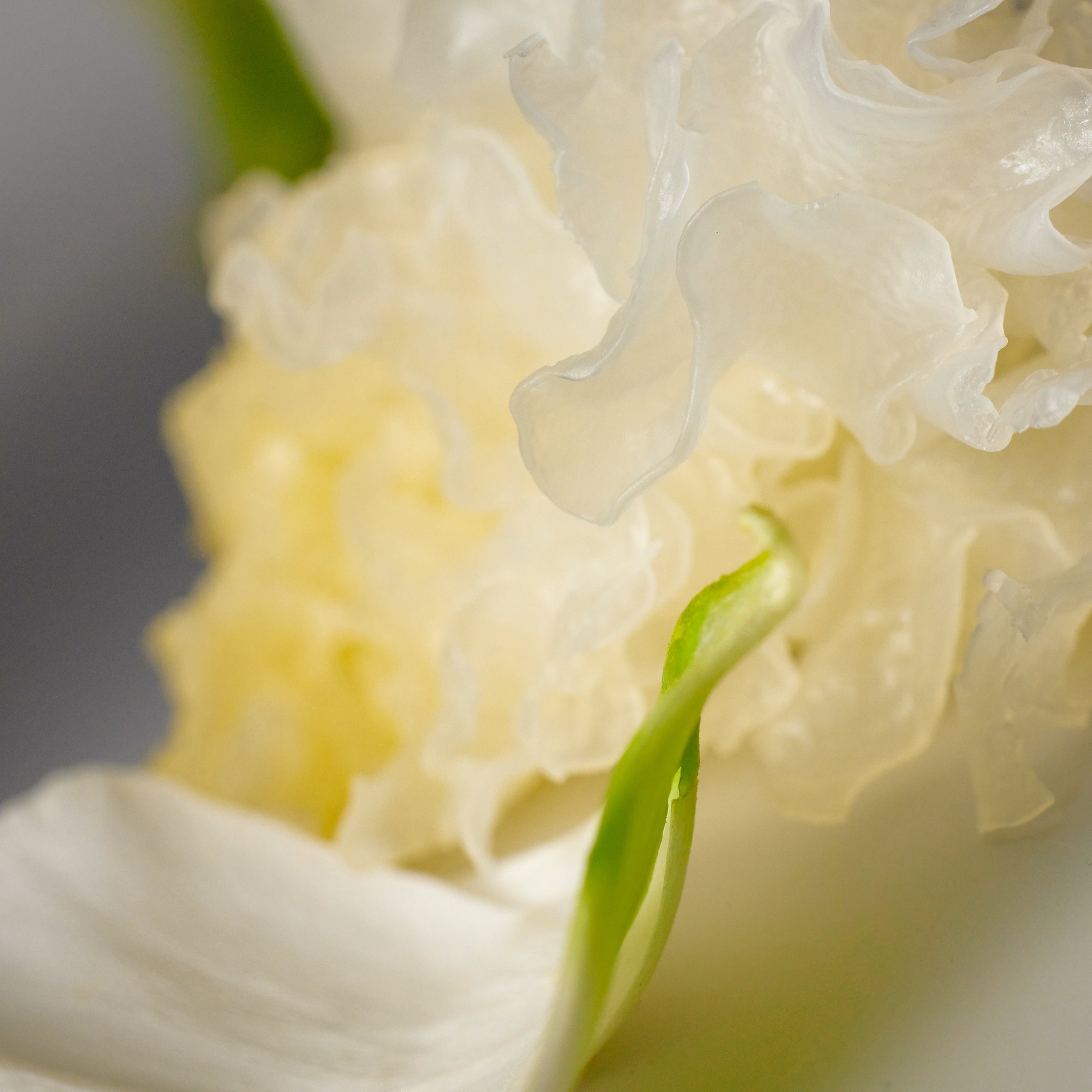 Salt Therapy Eternal Repair Cream