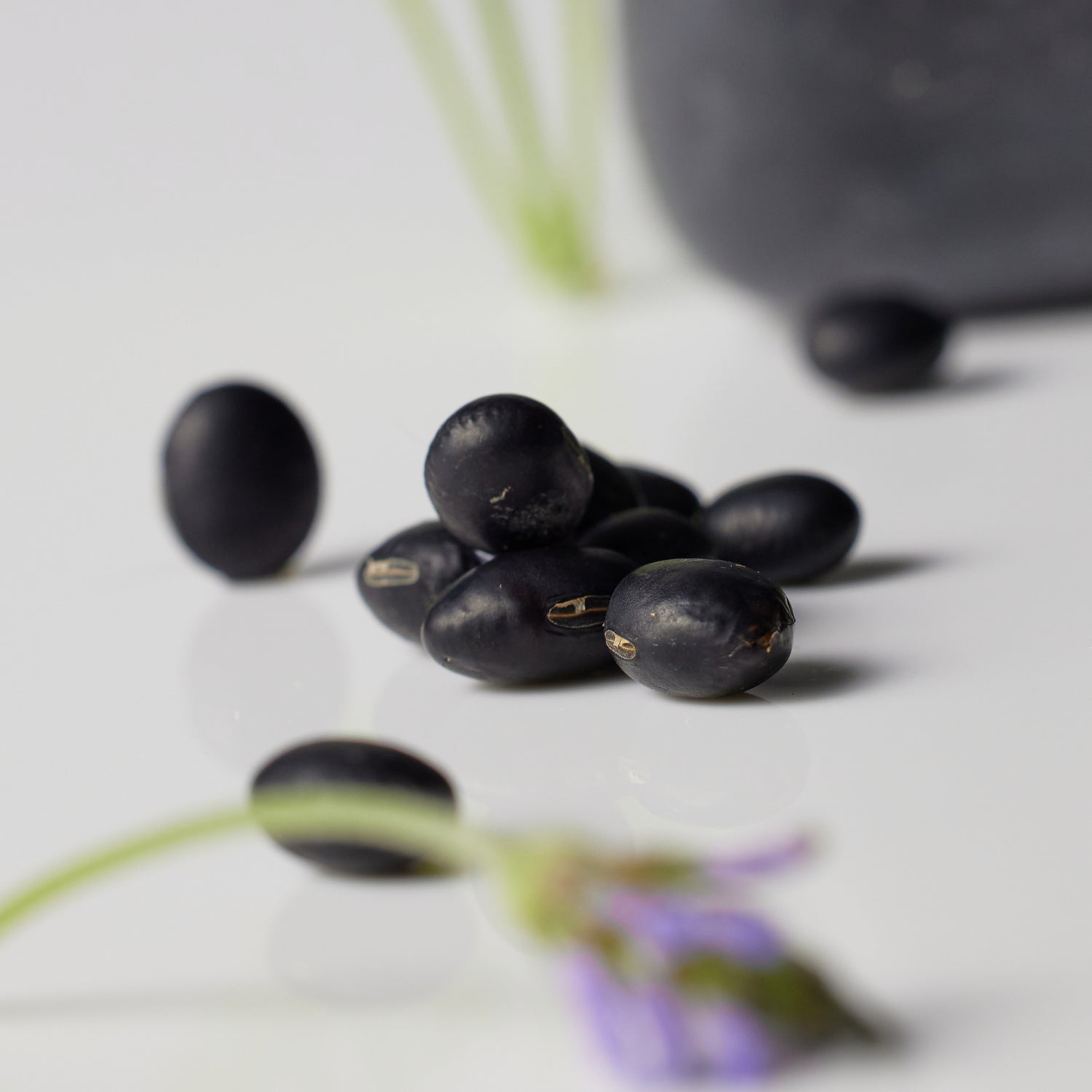 ReSaltZ Salt Massage Shampoo Bar Black Bean. Black beans are rich in nutrients that promote a healthy scalp and hair, known for strengthening hair and balancing scalp moisture